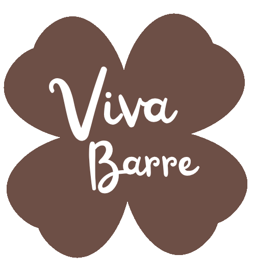 Viva Barre | Non-Slip Pilates & Yoga Socks & Barre+ Accessories